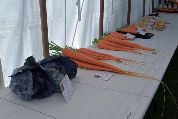 17. Very long carrots.jpg